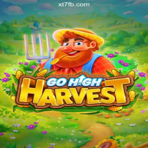Discovering GoHighHarvest: A Slot Gaming Experience on XT7.COM Platform – Oficial Slots Brasil #1